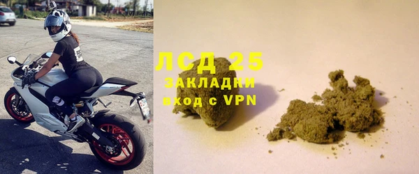 гашик Белокуриха