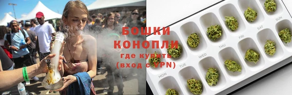 гашик Белокуриха