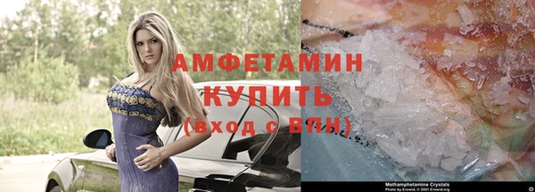 гашик Белокуриха
