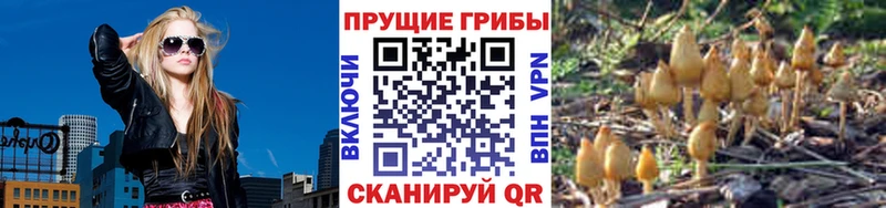 Галлюциногенные грибы MAGIC MUSHROOMS  купить наркотики цена  Севск 
